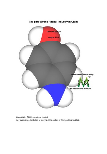 The para-Amino Phenol Industry in China